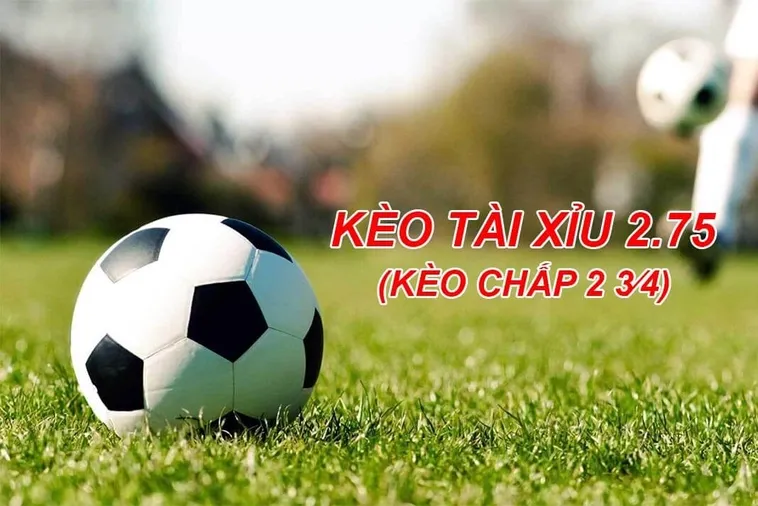 Kèo Chấp 2 3/4 Bí Quyết Chiến Thắng Đỉnh Cao Cho Nhà Đầu Tư