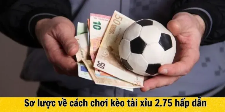 Kèo Chấp 2 3/4 Bí Quyết Chiến Thắng Đỉnh Cao Cho Nhà Đầu Tư