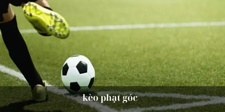 Bí Quyết Chinh Phục Kèo Phạt Góc Bóng Đá Và Những Pha Phối Hợp Uy Lực